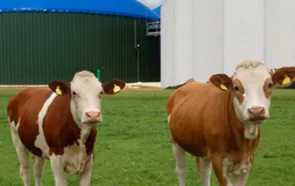 Biyogaz Potansiyelimiz