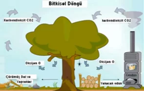 Biyokütle Potansiyelimiz