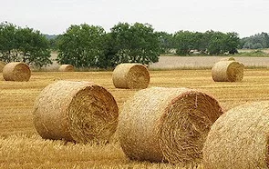 Biyoyakıt Kaynağı Olarak Pelet Yapımı