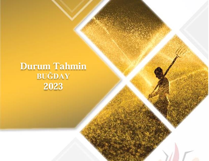 Buğday Durum Raporu 2023