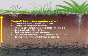 Ekolojik Ilkelere Göre Sürdürülebilir Toprak Yönetimi