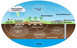 Gizemli Bileşik Nitrat; Gübre, Patlayıcı, Kirletici