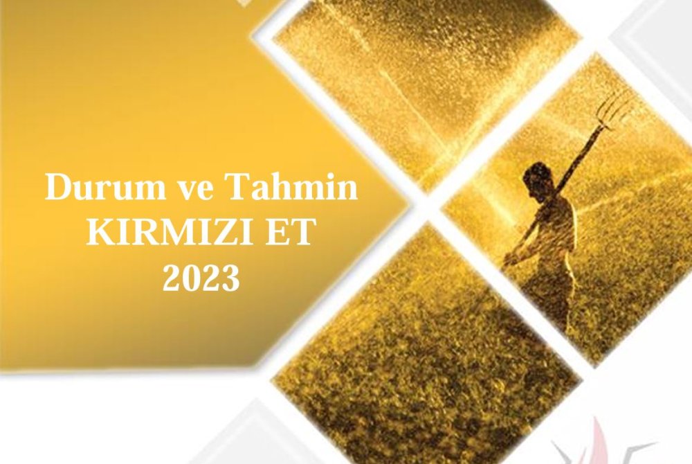 Kırmızı Et Durum Tahmin Raporu 2023