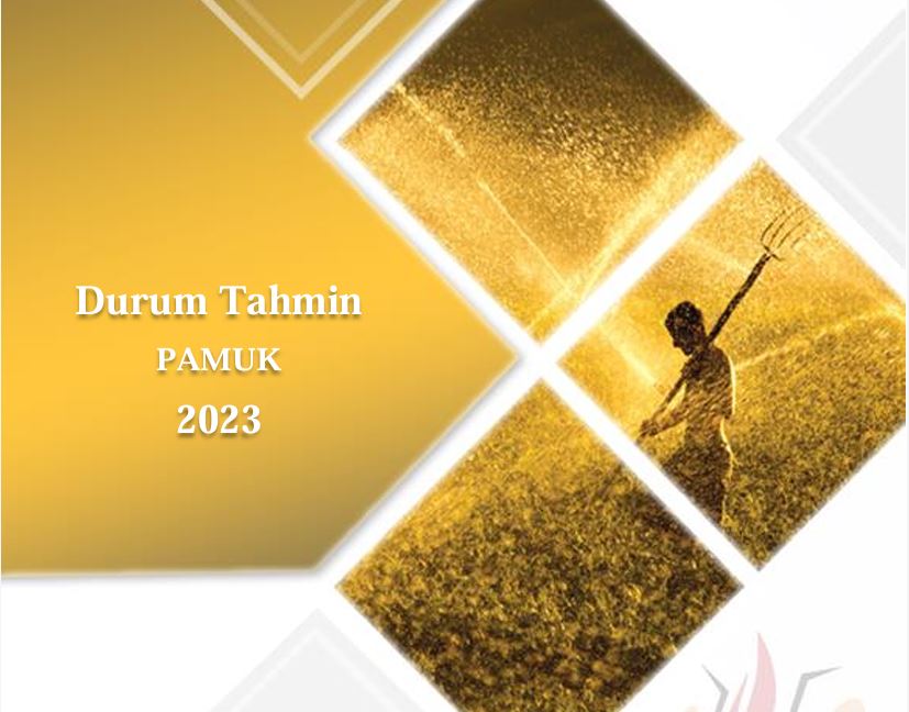 Pamuk Durum Tahmin Raporu 2023