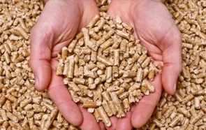 Pelet Biyoyakıt Üretiminin Ekonomik Analizi