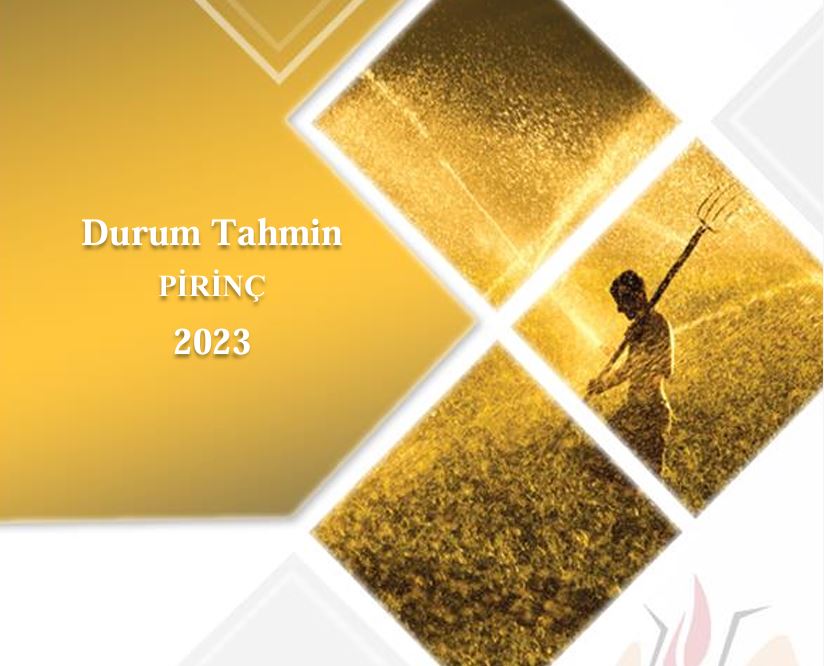 Pirinç Durum Tahmin Raporu 2023