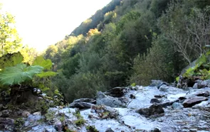 Sakarya'da Su Varlığı Ve Sürdürülebilir Su Yönetimi