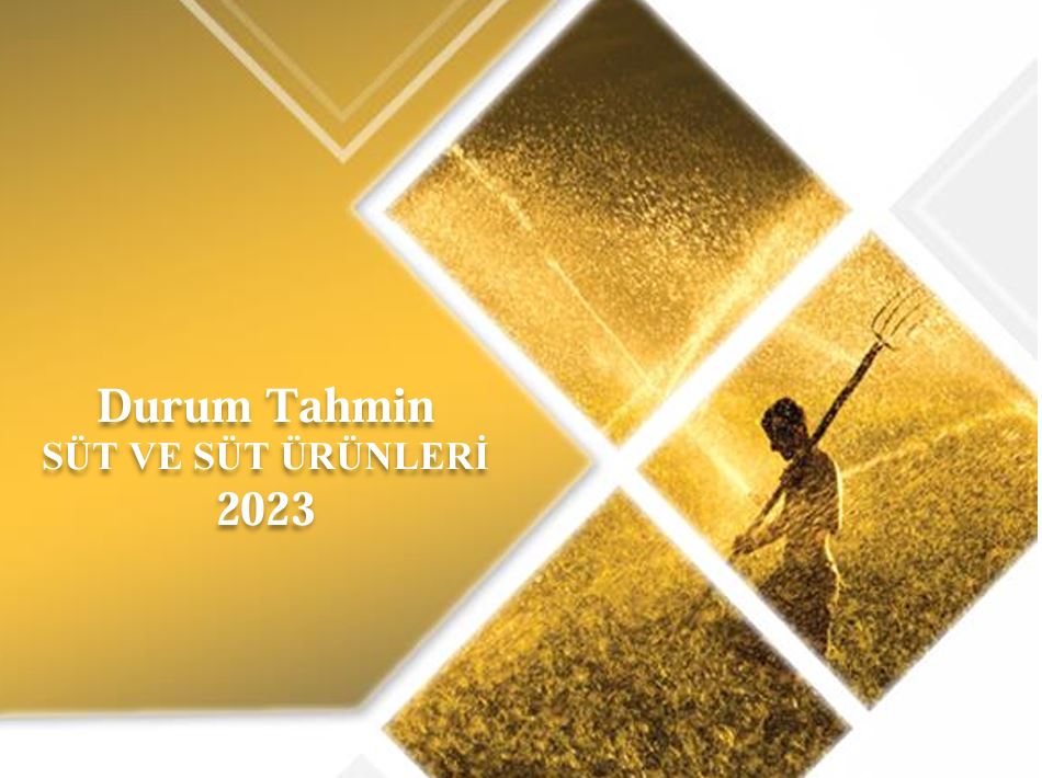 Süt ve Süt Ürünleri Durum Raporu 2023