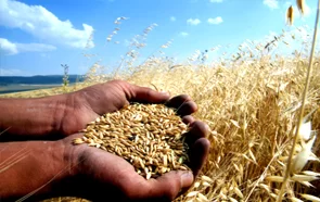 Tarım Sigortalarının Önemi Ve TARSİM