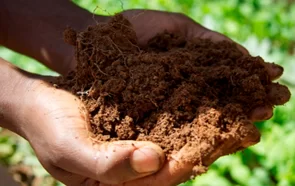 Toprak Mikrobiyolojisi