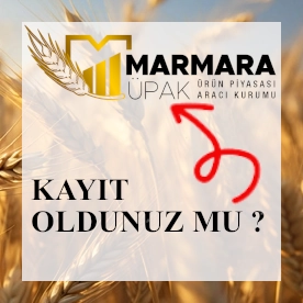 Türib'e Kayıt Oldunuz Mu?