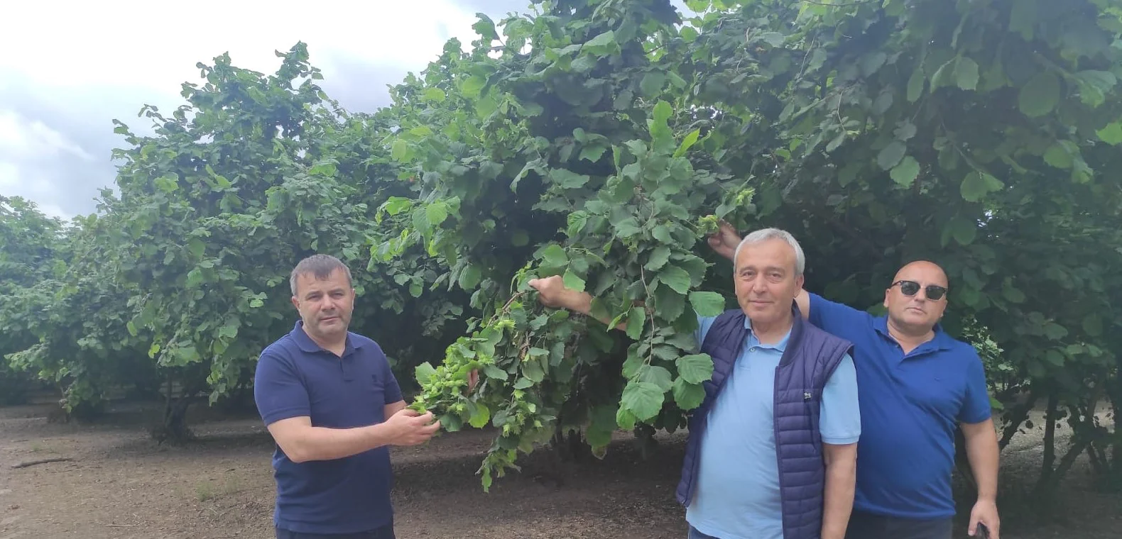 Başkan Genç, Gürcistan'daki Fındık Üretimini Değerlendirdi