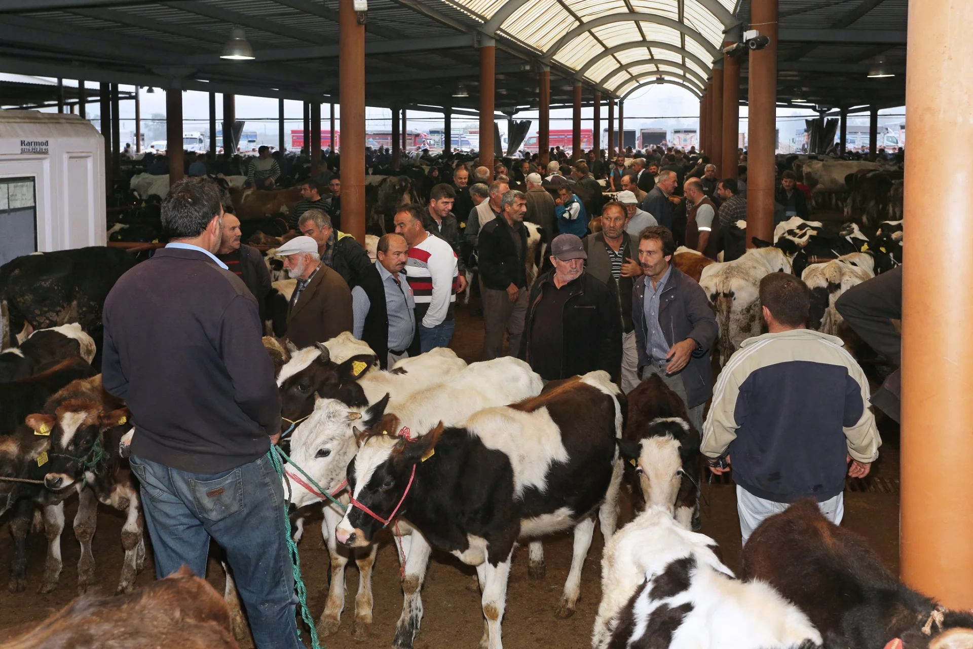 Kurban dönemi için STB Canlı Hayvan Borsası tüm hazırlıklarını tamamladı