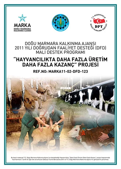 Hayvancılıkta Daha Fazla Üretim Daha Fazla Kazanç