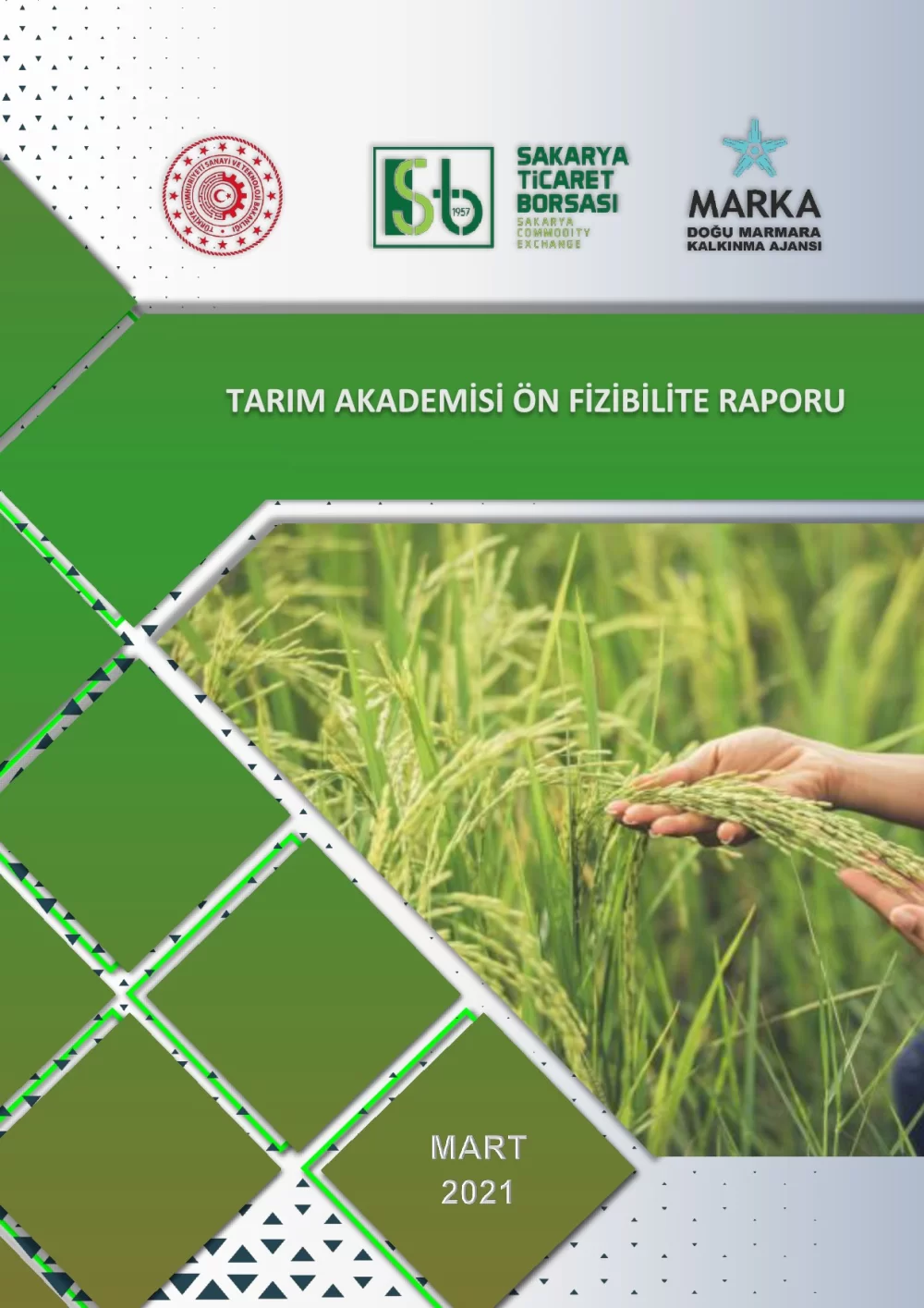 Sakarya Ticaret Borsası Tarım Akademisi Ön Fizibilite Raporu Projesi